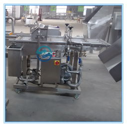 漢堡肉餅雞柳條茄盒上漿裹漿機(jī) 有為機(jī)械全自動掛漿機(jī)廠家